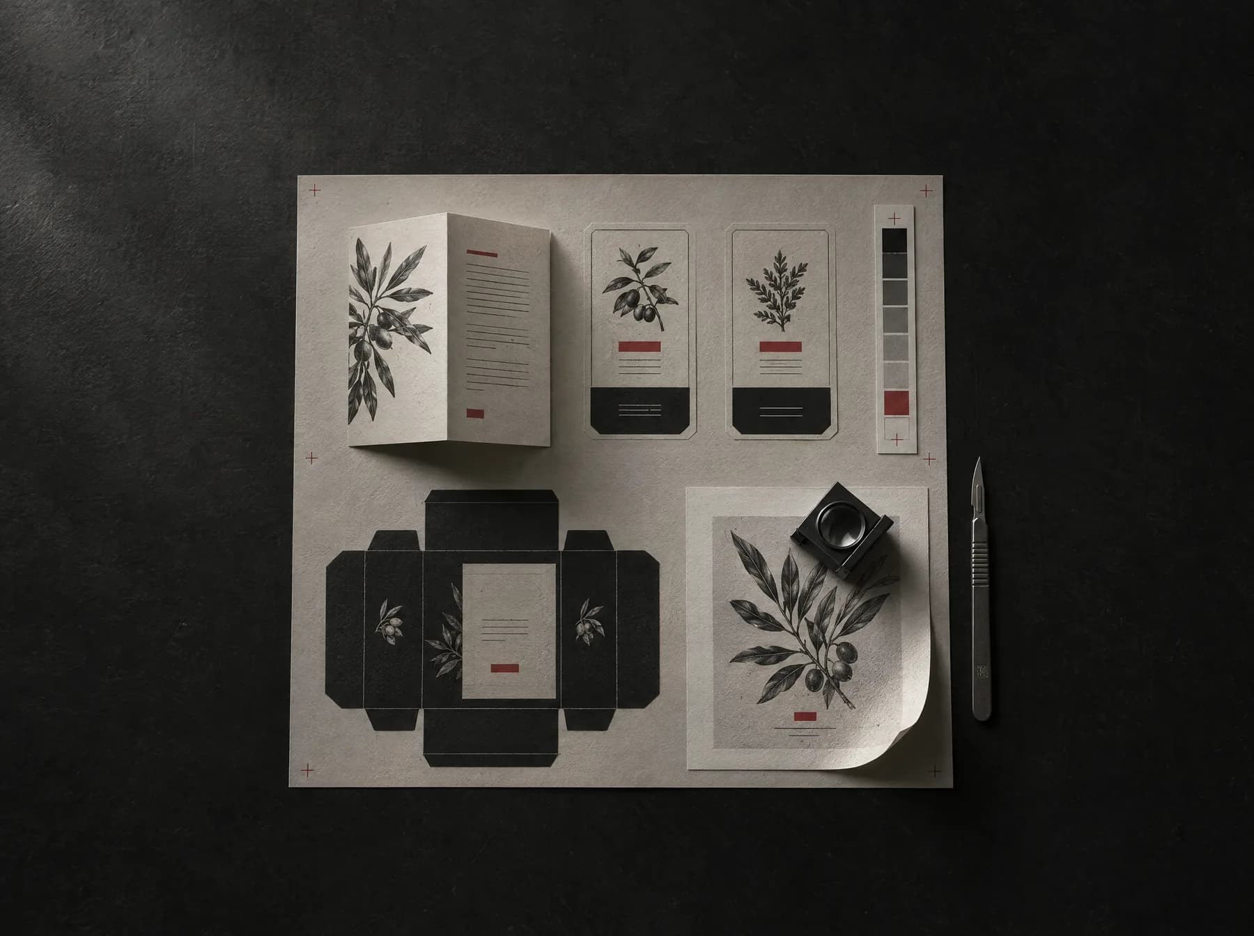 Composición visual para el servicio de diseño gráfico